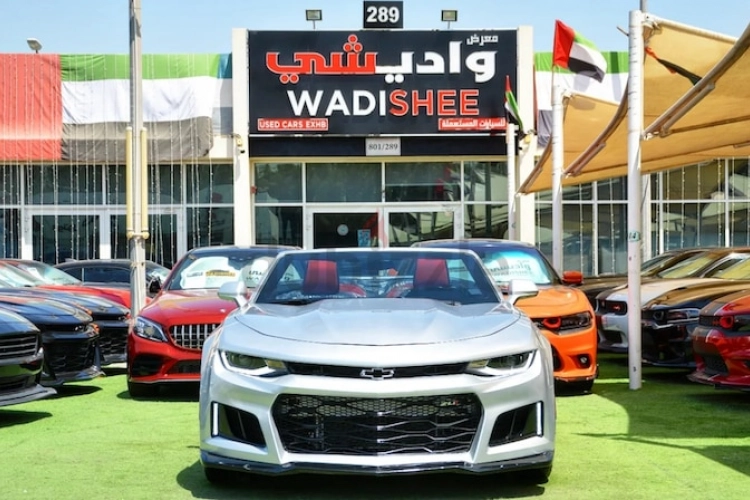 Chevrolet Camaro, год 2019, цвет Silver-Gasoline, пробег 75,000 km, фото 4260