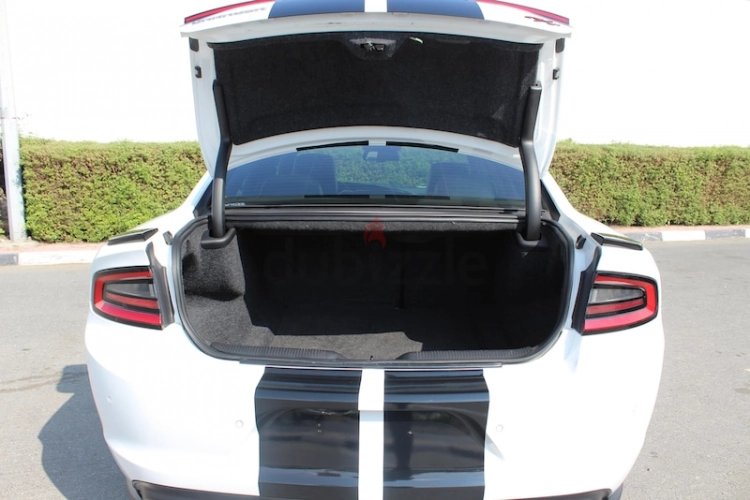 Dodge Charger, год 2016, цвет White-Gasoline, пробег 147,000 km, фото 4213