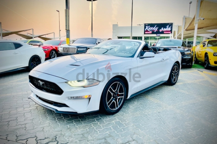 Ford Mustang, год 2021, цвет White-Gasoline, пробег 43,456 km, фото 4215