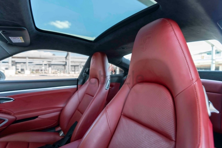 Porsche Carrera / 911, год 2017, цвет White-Gasoline, пробег 186,000 km, фото 4989