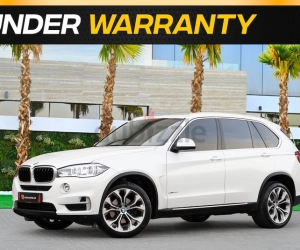 BMW X5, год 2018, цвет White-Gasoline, пробег 110,000 km