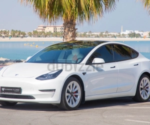 Tesla Model 3, год 2021, цвет White-Electric, пробег 40,000 km