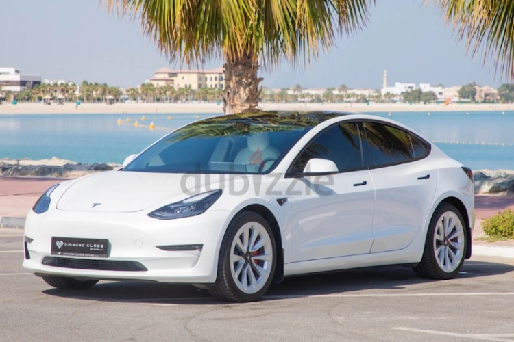 Tesla Model 3, год 2021, цвет White-Electric, пробег 40,000 km, фото 864