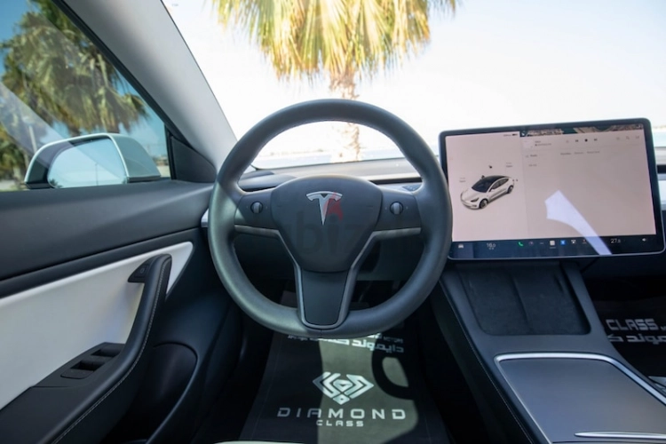 Tesla Model 3, год 2021, цвет White-Electric, пробег 40,000 km, фото 874